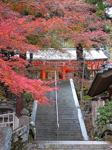 🍁広島県府中市で楽しむ秋の彩り